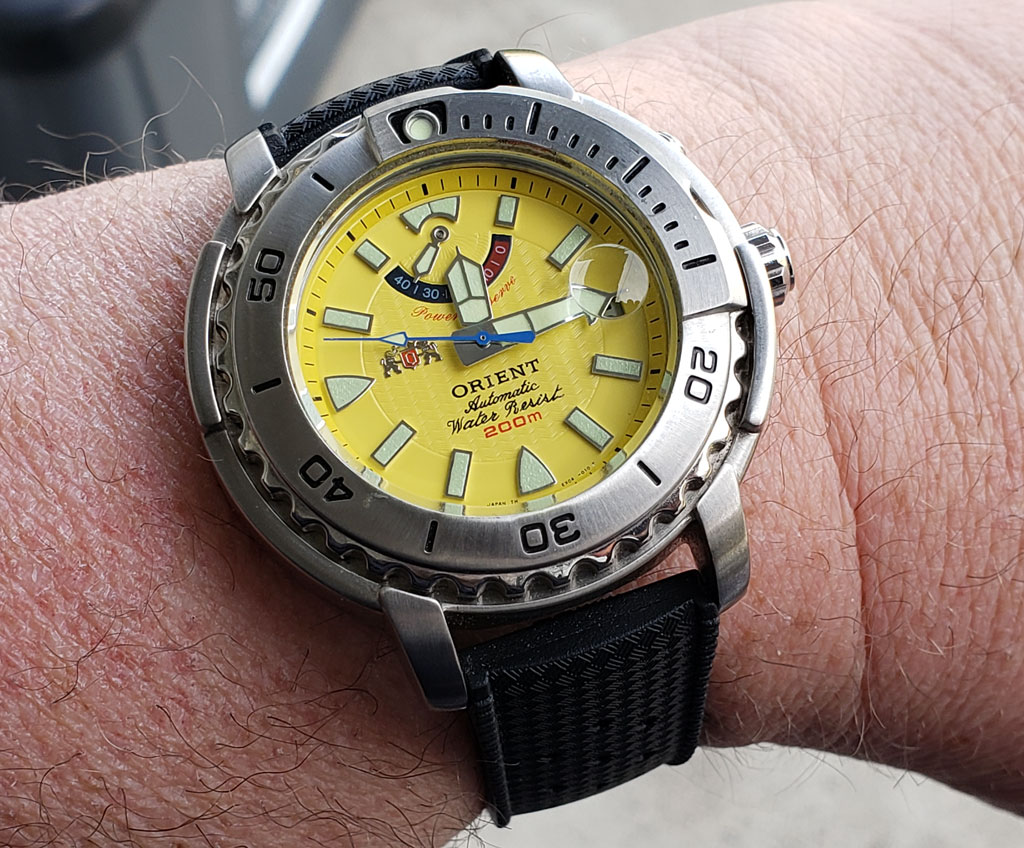 yellow_beast-10.jpg