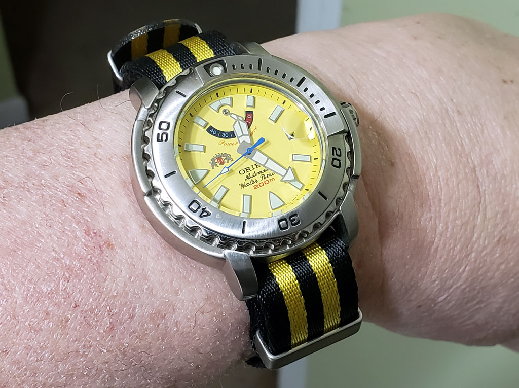 yellow_beast-12.jpg